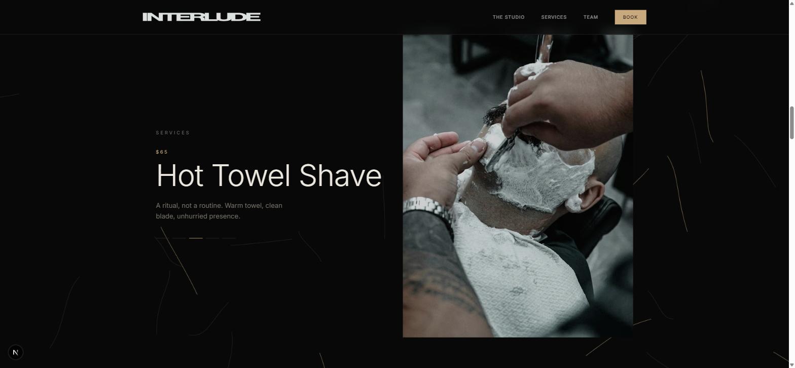 v4's pinned Services section — each service takes the full viewport as the user scrolls, with the strand canvas in 'gather' mode beside a photograph